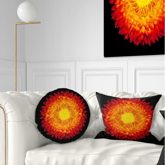 Designart Everlasting Straw Flower on Black - Flowers Throw Pillowwork - 12x20