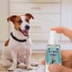 thumbnail image 5 of [Yuexinghui] Desodorante Oral Para Mascotas De Propiedad Intelectual Sin Tratar Spray Desodorante Oral Para Perros ANGGREK Otros, 5 of 7