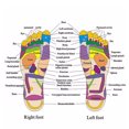 thumbnail image 4 of Graflsoa Men's Therapeutic Massage Slippers for Foot Pain Relief, Black, Size M (42-43) - Durable PVC with Silicone Massage Buttons, Portable & Comfortable Design, 4 of 6