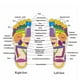 thumbnail image 4 of Zapatillas de Masaje Terapéutico para Hombres, Alivio de Dolor y Relajación, Talla M (42-43), Color Negro, Material PVC, Diseño Ergonómico con Botones de Silicona, Ideal para Regalo., 4 of 6