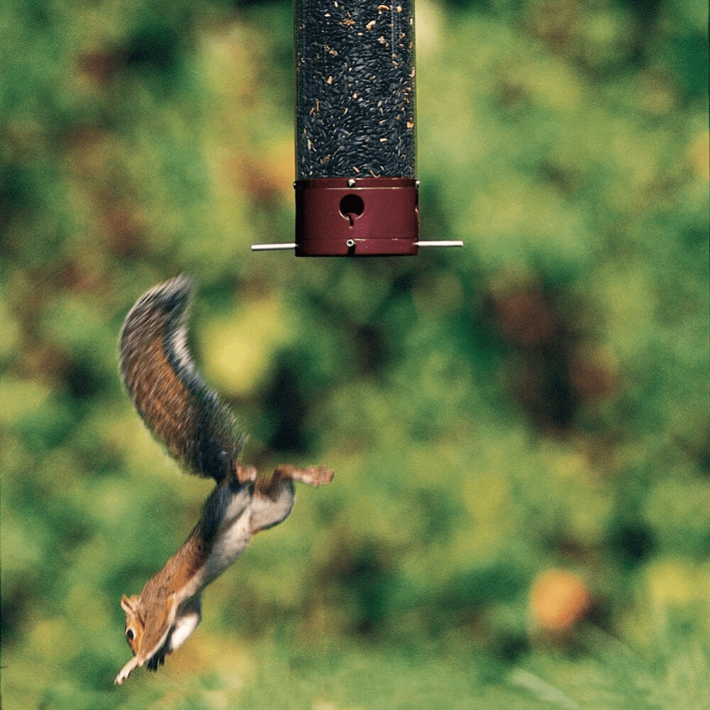 Droll Yankees Yankee Dipper Squirrel-Proof Tube Bird Feeder - Burgundy - 5 lb. capacity