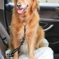 thumbnail image 3 of Adjustable Nylon Vehicle Harness with Elastic Bungee Buffer and Reflective Straps for Secure Dog Travel, 3 of 4