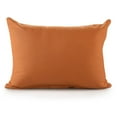 thumbnail image 5 of LR Home Dainty and Delicate Embroidered Border Throw Pillow, 5 of 9