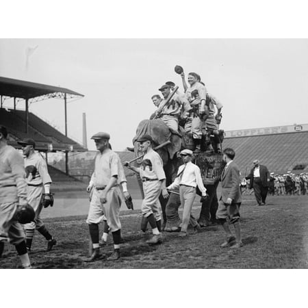 Classic Republican Elephant - Republican baseball team with Elephant Print Wall Art