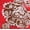 Red Brown Paisley, variant on Scenario Women's Top with Poet Sleeves, Sizes XS-XXXL