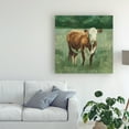 thumbnail image 3 of Trademark Fine Art 'Hereford Cattle I' Canvas Art by Emma Scarvey, 3 of 3