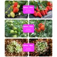 thumbnail image 4 of Lámpara Phyto de espectro completo alimentada por Panel Solar de 5M, 4 of 6