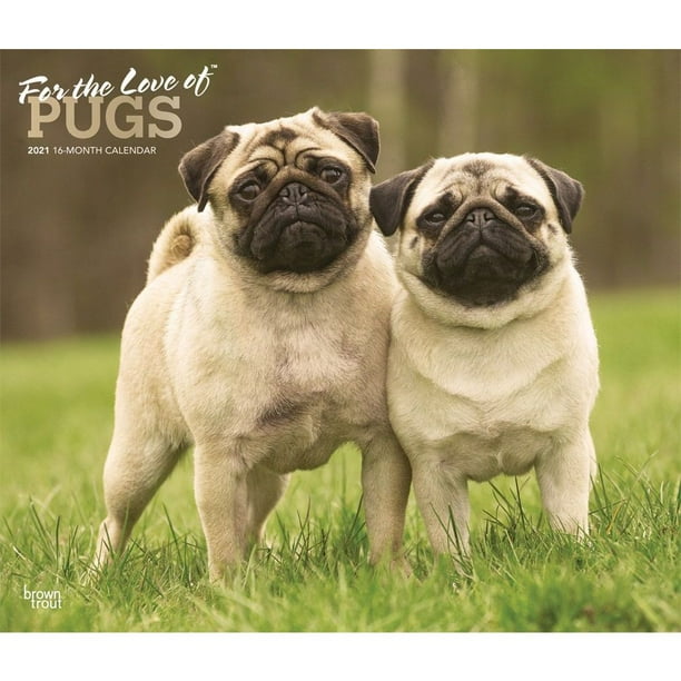 Pugs Deluxe Wall Calendar