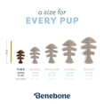thumbnail image 4 of Juguete masticable para perros Benebone Puppy Fishbone, más suave para masticadores modestos, 4 of 6