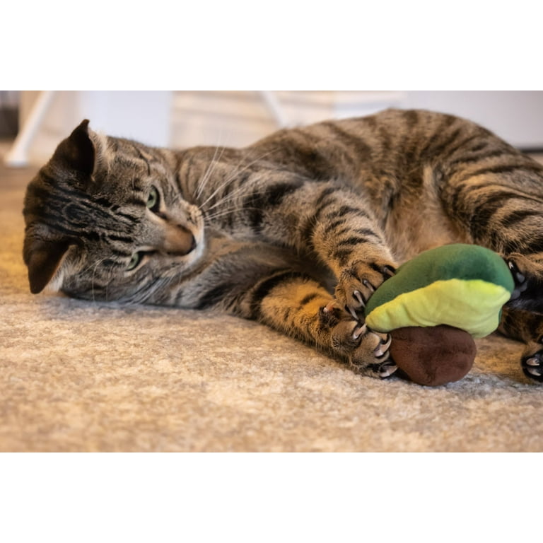 Vibrant Life Avocado Cat 3.14 Plush Toy with Bungee