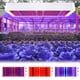 thumbnail image 1 of ¡Ahorra Ahora!, Lámpara de crecimiento de plantas de tablero Lámpara para plantas suculentas en macetas LED 312 Especificaciones europeas Lámpara de plantación Lámpara para plantas de invernadero, 1 of 9