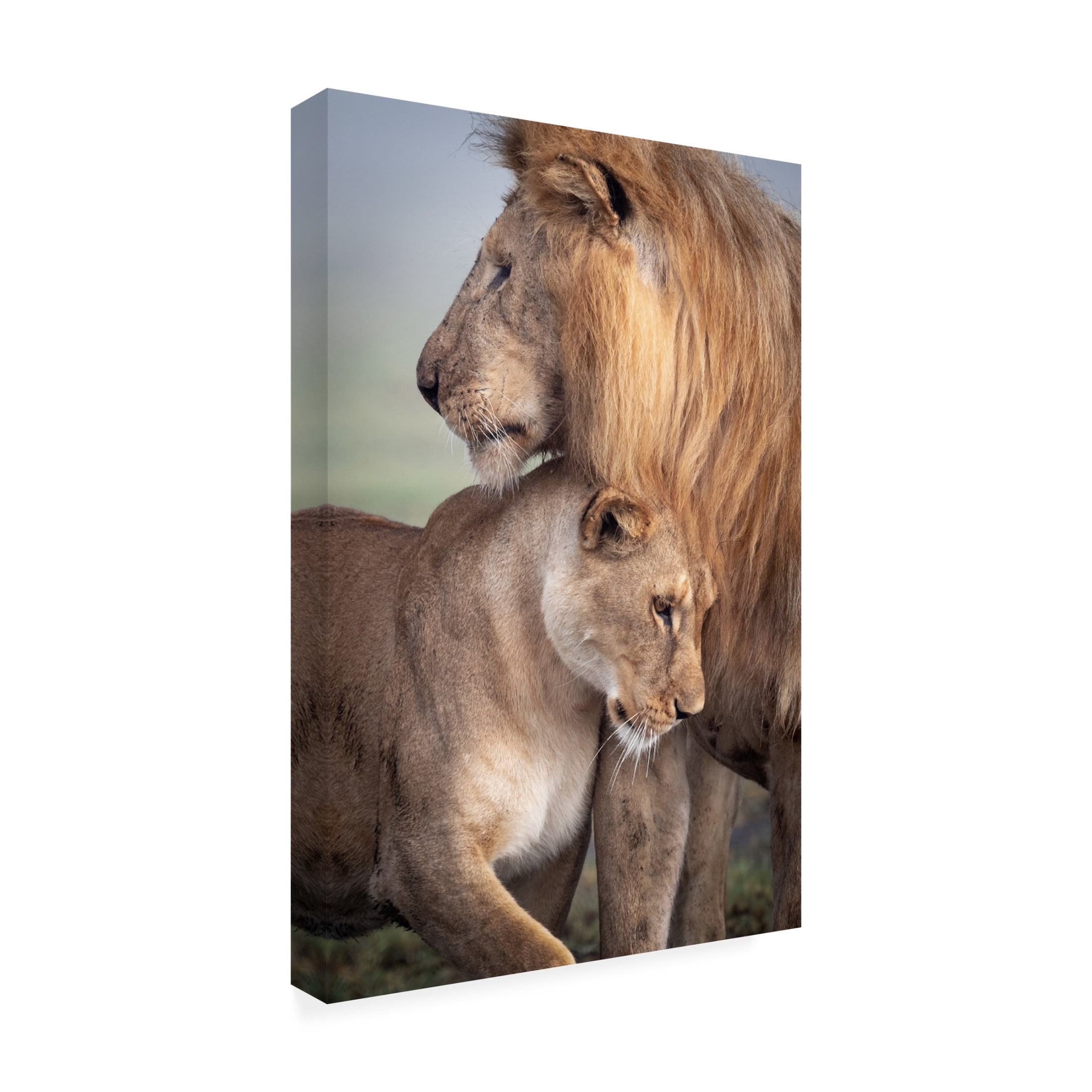 Canvas Wall Art - Ali Khataw 'Wild Love' Wall Art for Living Room, Bedroom, or Office Décor by Trademark Fine Art - 16 x 24 Inches
