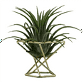 thumbnail image 6 of 9 Pcs Geometric Air Plant Holder Airplants Rack Metal Plants Stand Planter Shelves Himmeli Decor Tillandsia Containers, 6 of 8