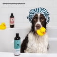 thumbnail image 3 of kin+kind Natural Dog and Cat Conditioner - Coat Moisturizer & Detangler - Shea Butter - Unscented - 12 fl oz, 3 of 7