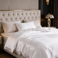 thumbnail image 4 of Ice Silk Quilt Cover 90.55In Double Sided Washed Imitation Silk Fabric Cool Touch No Stuffy Breathable Heat Dispersion Wrinkle Resistant for Bedroom Guest Room Dormitory Home Bedding Summer Daily Use, 4 of 6