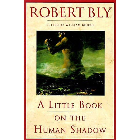 A Little Book on the Human Shadow, (Paperback)
