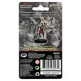 thumbnail image 3 of WizKids WZK93043 Dungeons & Dragons IR Prem Human Cleric Female Miniature Game, 3 of 3