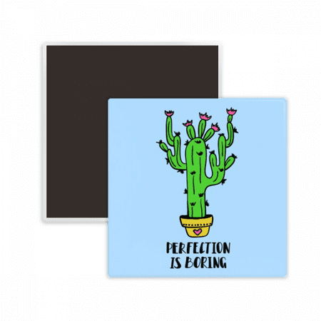 

Perfection Is Boring Cactus Square Ceracs Fridge Magnet Keepsake Memento