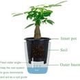 thumbnail image 6 of Dream Lifestyle Lazy Plastic Planter Pot,Self Watering Pots and Planters with Inner Pot Pure Color Flower Plant Pot for Indoor Plants,Flowers,Herbs,African Violets,Succulents, 6 of 8