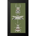 thumbnail image 2 of Wang, Melissa 9x14 Black Modern Framed Museum Art Print Titled - Flying Garden I, 2 of 5