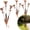 3pcs, variant on Flamed Copper Three Calla Lilies Garden Stake with Bells, Metal Flower Yard Art Decor, Outdoor Wind Bell Stake for Lawns, Patios & Garden, Rustic Handmade Wind Chime Ornament Gift