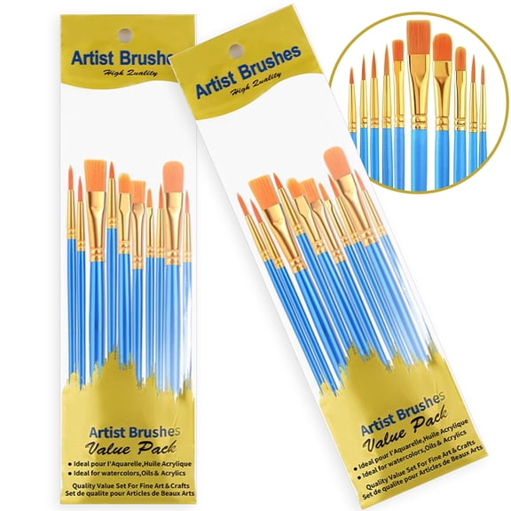 20Pcs Acrylic Paint Brush Set, Nylon Brushes for Oil & Watercolor Painting