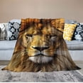 thumbnail image 2 of HENGT  Printing Lion Animal Velvet Plush Throw Blanket Bed Blankets Super Soft and Cozy Feeling Blanket for Travelling, 2 of 6