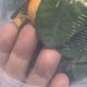 thumbnail image 2 of Bolsa de red Inteprter a prueba de insectos de algodón 150*120 CM, 2 of 6