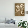 thumbnail image 3 of Trademark Fine Art 'Botanical in Taupe I' Canvas Art by Vision Studio, 3 of 4