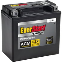 EverStart Platinum BOXED AGM Power Sport Battery, Group Size TX14L 12 Volt, 200 CCA
