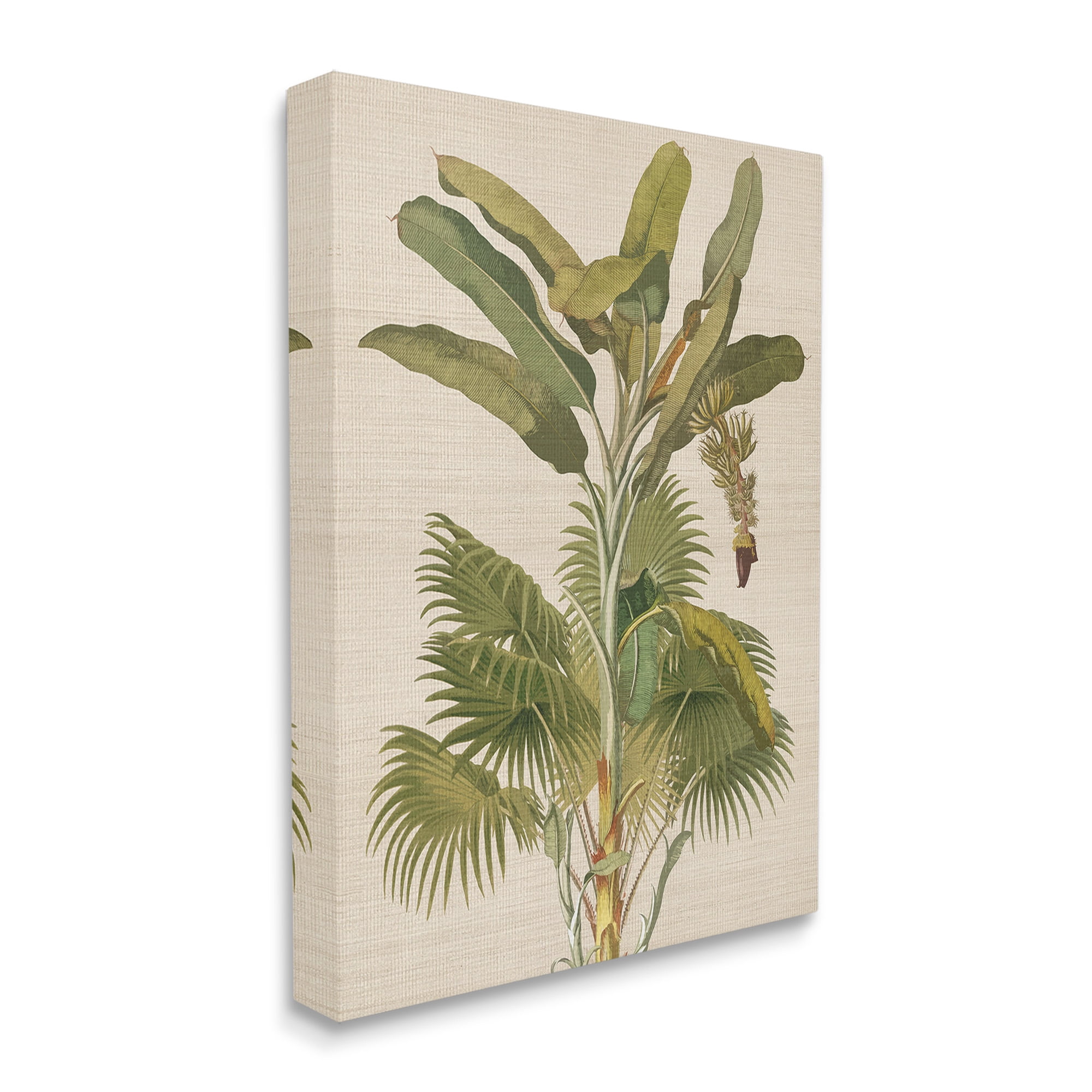 Stupell Industries Vintage Tropical Plant Botanical & Floral Painting Gallery Wrapped Canvas Art Print Wall Art, 36 x 48