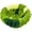 Trumpet green, variant on Birds Nest - Bird House Tent | Parrot Breeding Nest Bed, Comfort Warmth Canary Finch Parrot for Parakeet Cockatiel Conure Lovebird Canary Finch