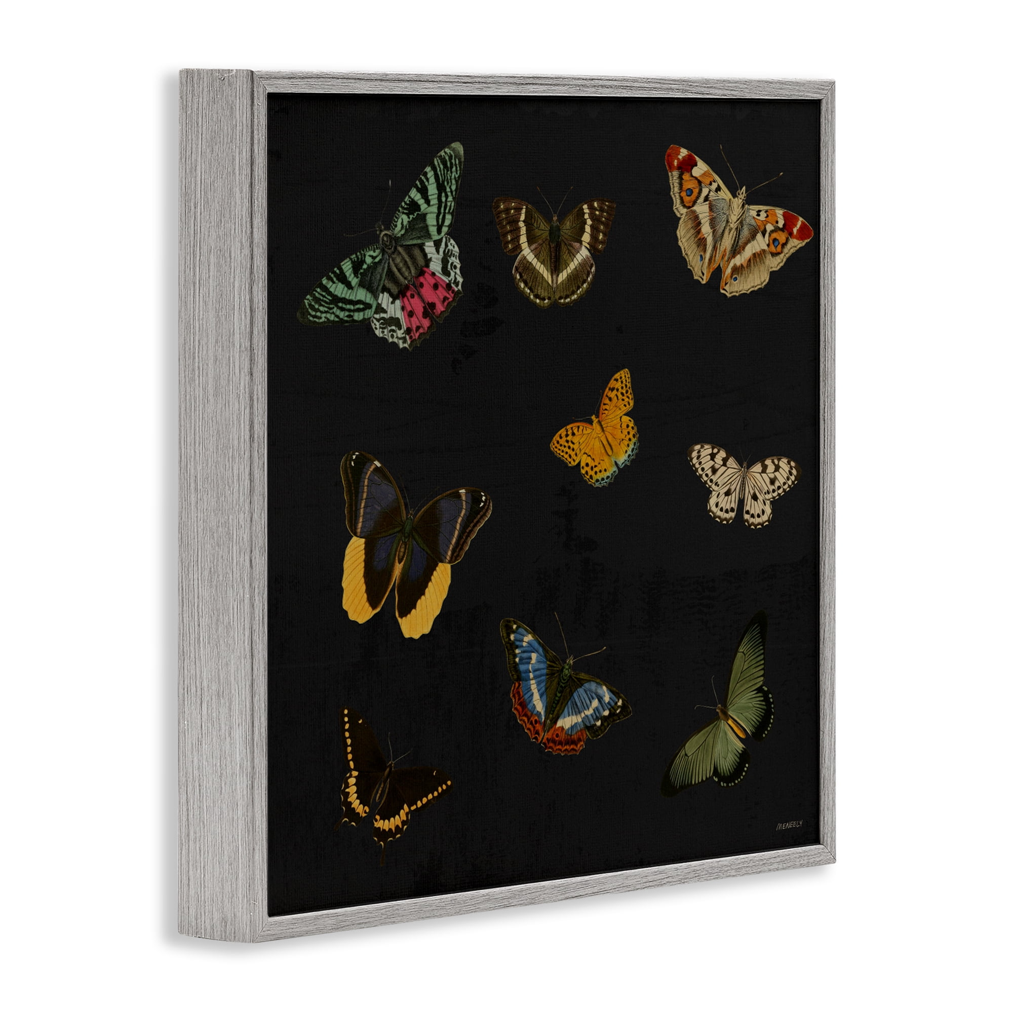 Stupell Industries Butterfly & Moth Collection Gray Framed Giclee Art, design by Dan Meneely