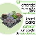 thumbnail image 2 of Kit 2 Charola moderna rectangular para suculentas Smart Garden  Gris, 2 of 6