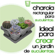 thumbnail image 2 of Kit 2 Charola moderna rectangular para suculentas Smart Garden  Gris, 2 of 6