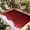 red, variant on Fsddascl Pink Ombre Stripes Outdoor Rug for Patio/Deck/Porch, Non-Slip Large Area Rug 4 x 6 Ft, Modern Roman Abstract Waves Art Indoor Outdoor Rugs Washable Area Rugs, Reversible Camping Rug Carpet