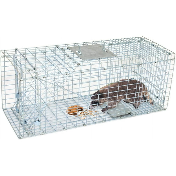 ANHXN Small Live Animal Trap Steel Cage Catch and Release One Door Humane Rodent Cage Trap for Little Rabbits/Stray Cats/Squirrel/Skunk/Mink/Opossum Outdoor Animals
