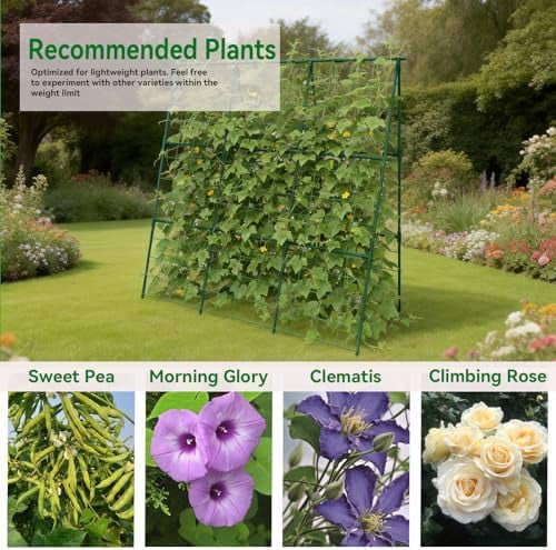 Cucumber Trellis - 49.4"*49.4" Metal Garden Trellis for Climbing Plants, Garden Trellis with Plastic-Coated Steel Pipe, A Frame Trellis for Cucumbers, Peas, Morning Glories(Green)