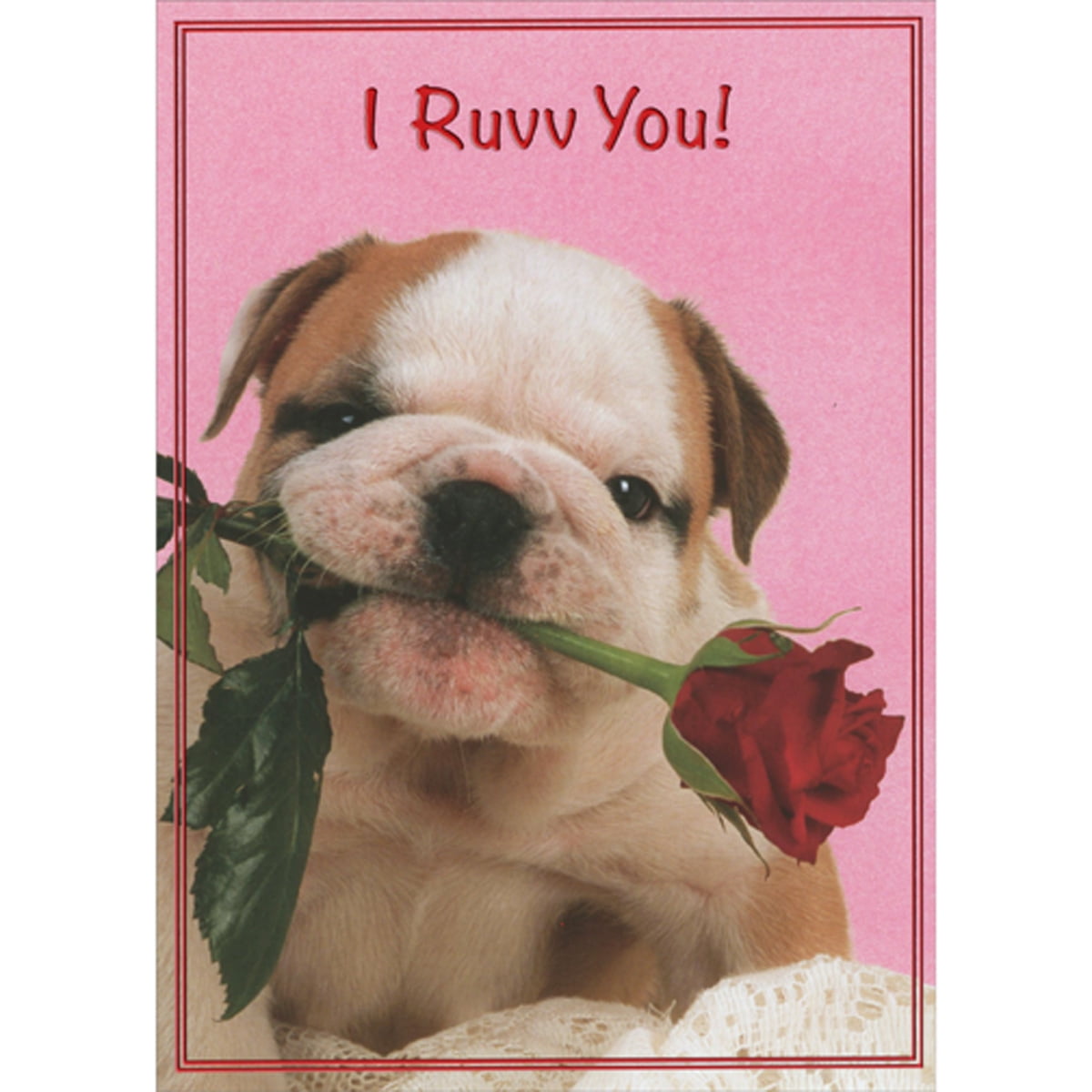 Bouquet Surprise Puppy S Heartwarming Valentine Peek Background, Puppy...
