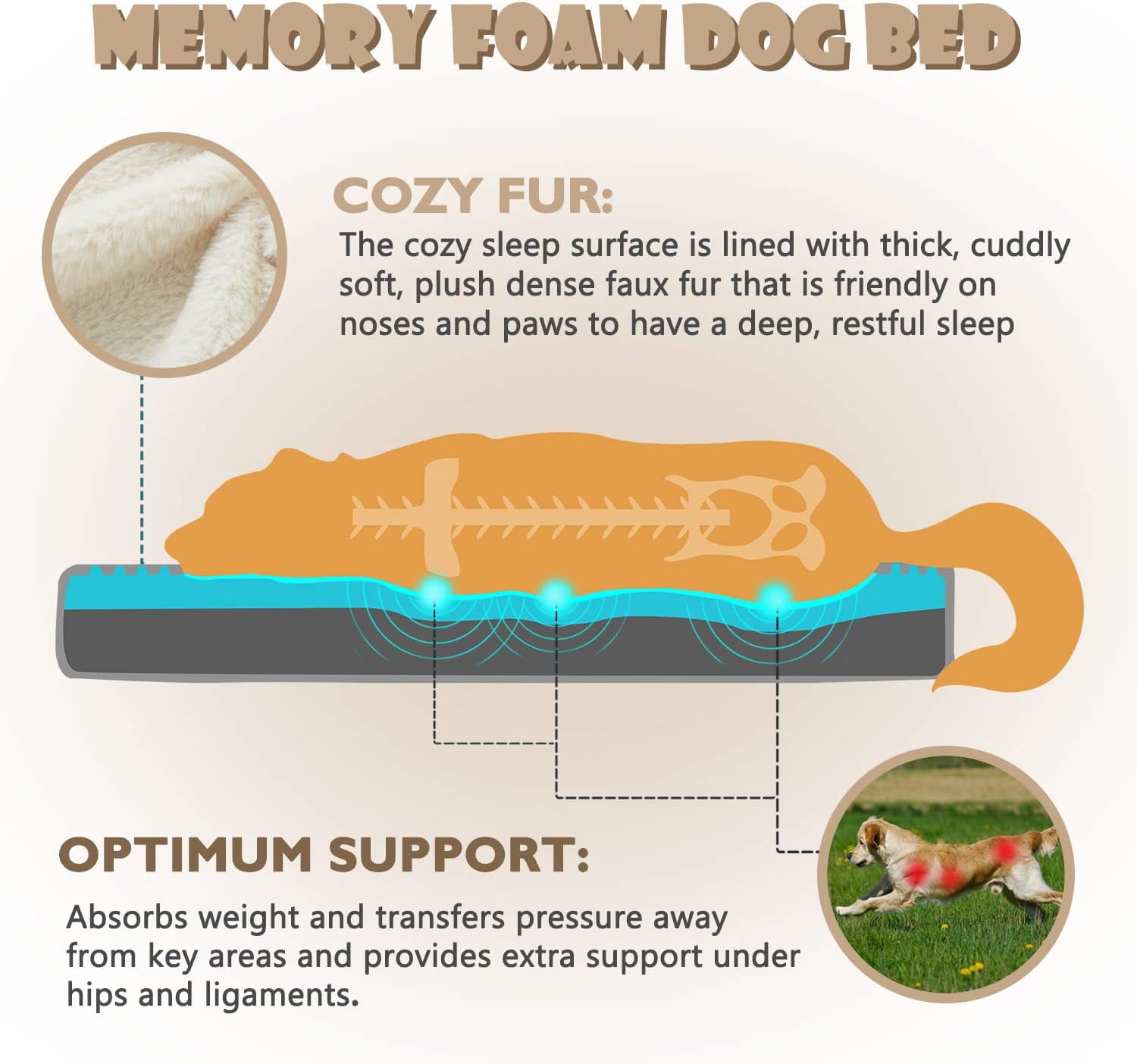 Medium Dog Beds for Medium Dogs, Memory Foam Dog Bed, Orthopedic Small Dog Bed with Washable Cover & Waterproof Liner, Plush Puppy Bed with Anti-Slip Bottom (29’’x 18’’)