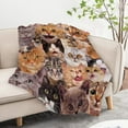 thumbnail image 5 of Kainsy Cat Throw Blanket Flannel Fleece Cat Blanket Cat Lovers Gifts for Women Kids Cat Blanket for Couch Bed Cat Themed Gifts Cat Lover Blanket inches(30"x40"), 5 of 7
