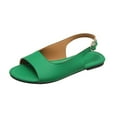 thumbnail image 2 of Fesfesfes Flats Sandals Women's Summer New Buckle Peep-Toe Sandals Color Flat Shoes 7(39), 2 of 6