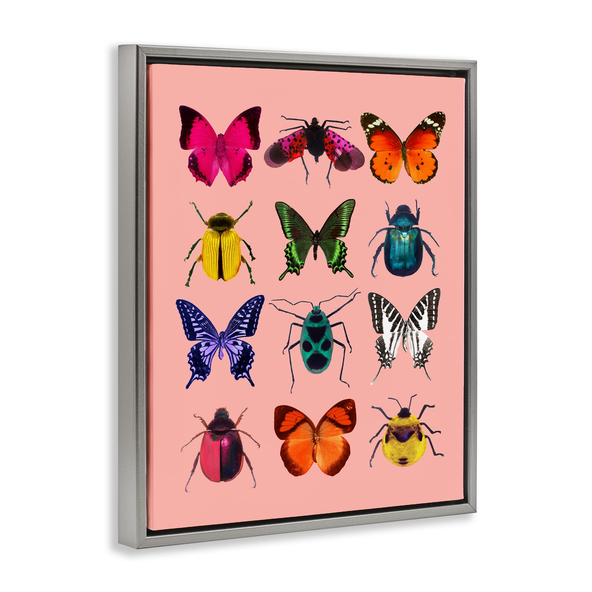 Colorful Bug Species on Pink Gray Framed Floater Canvas Wall Art, design by LISH Creative
