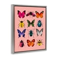 thumbnail image 2 of Stupell Industries Contemporary Colorful Bug Species on Pink Gray Floating Frame Canvas Art, 25 x 31, by LISH Creative, 2 of 8