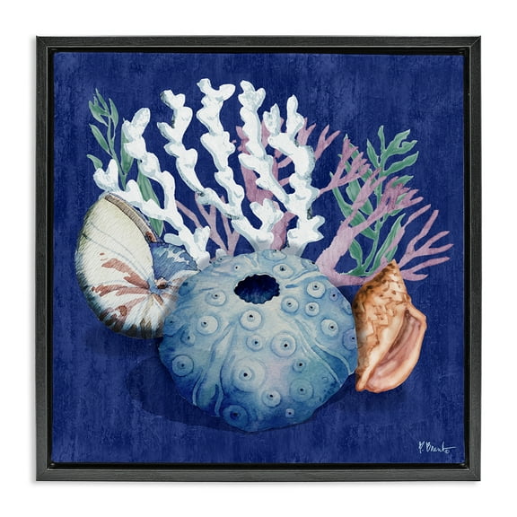 Stupell Industries Sea Urchin & Coral Coastal Painting Black Floater Framed Canvas Art Print Wall Art, 18 x 18