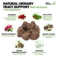 thumbnail image 3 of Deley Naturals Dog Chews for UTI Prevention - Dog Supplements for UTI, 3 of 7