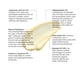thumbnail image 2 of Crema Facial Revel Dermatologique Dibel Lumiere Humectación Intensa 50 ml, 2 of 3