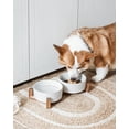 thumbnail image 2 of Set de cuencos para perros LE TAUCI con soporte de madera de acacia, 350 ml, 2 of 8