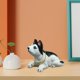 thumbnail image 5 of Lindo modelo de figura de perro cabezón que simula un perro que mueve la cabeza y asiente. Fornido, 5 of 9