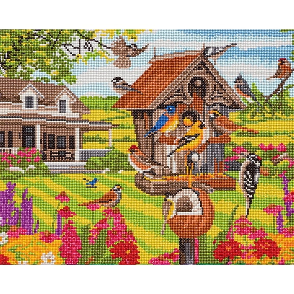 CA Kit (Large) - Garden Birds